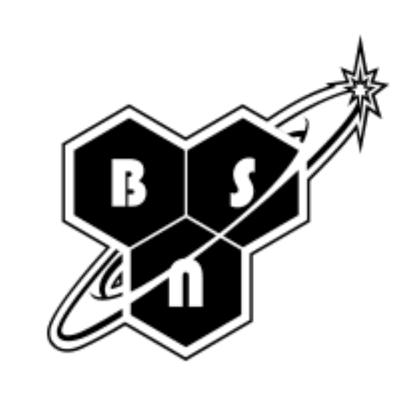 BNS